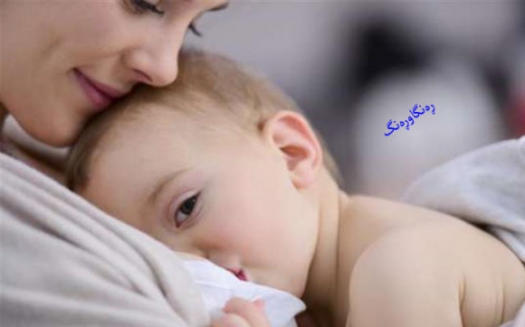 کاریگەریی شیردان لەسەر خودی خانمان